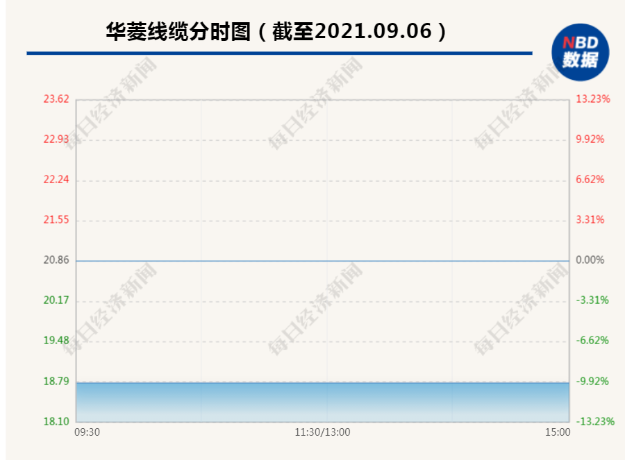 “突发闪崩！百亿明星股跌停，19万手卖单压顶！股东炸锅：“早上还加仓了，现在很慌”