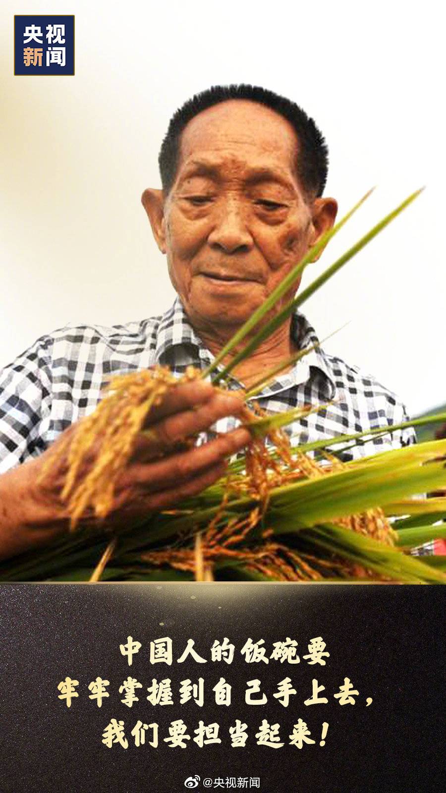 袁隆平微信表情包图片