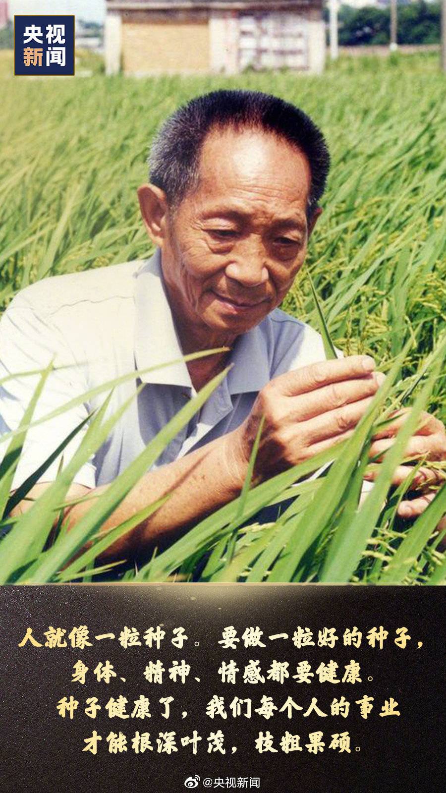 袁隆平微信表情包图片