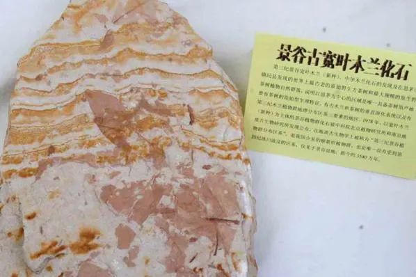 2020景谷县GDP_云南这县厉害了,被普洱管辖,GDP突破200亿,未来发展潜力巨大