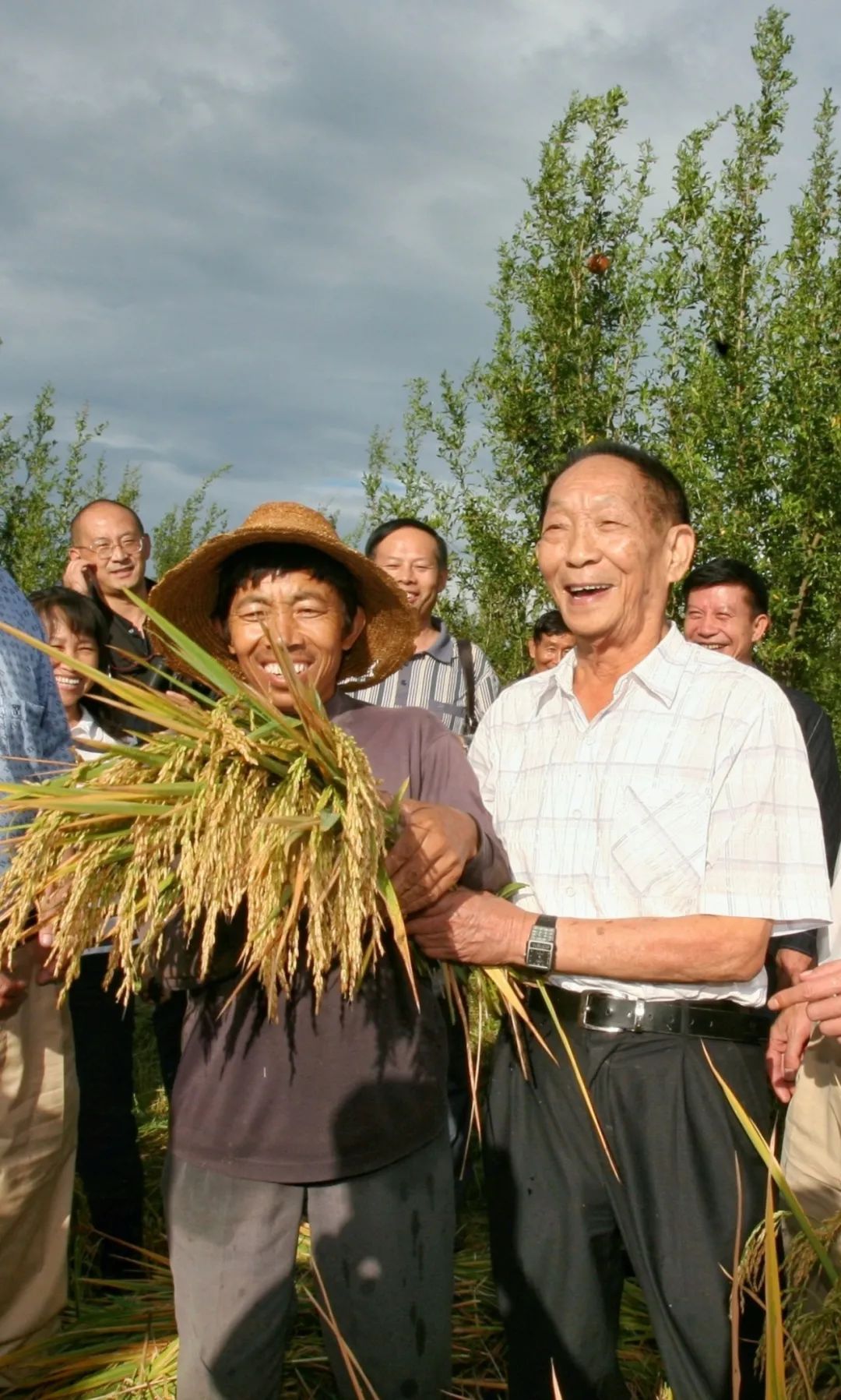 资料图:袁老手捧沉甸甸的稻穗笑了