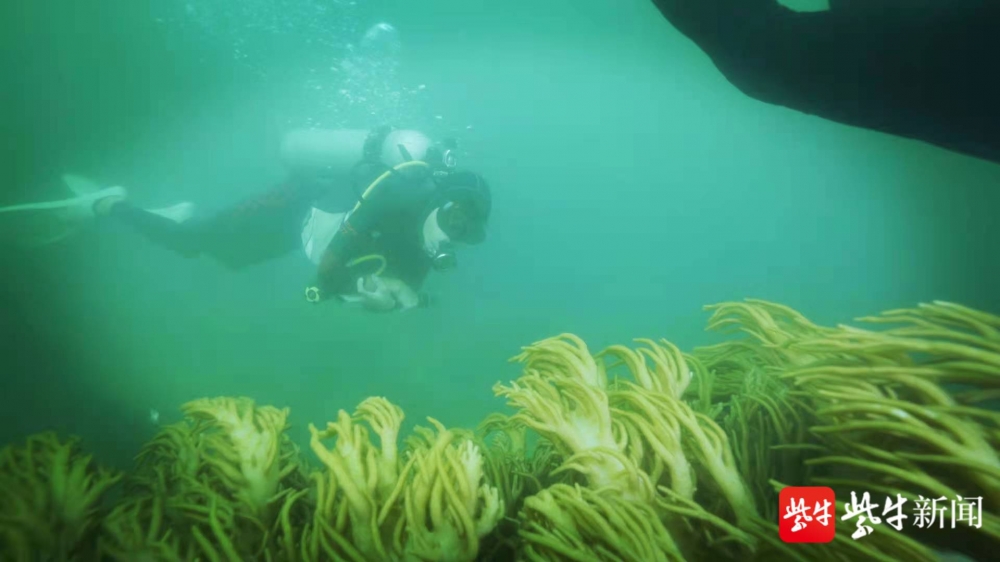 手动轮椅怎么打开坐着轮椅却“上天入海”的男孩被澳门科技大学录取：享受研究生生活_https://www.jmylbn.com_新闻资讯_第6张