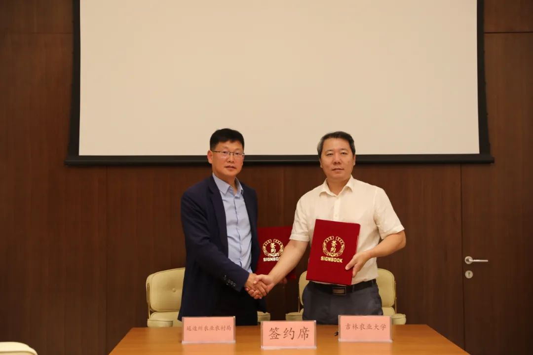 吉林市农业开发：谱写现代化田园新篇章
