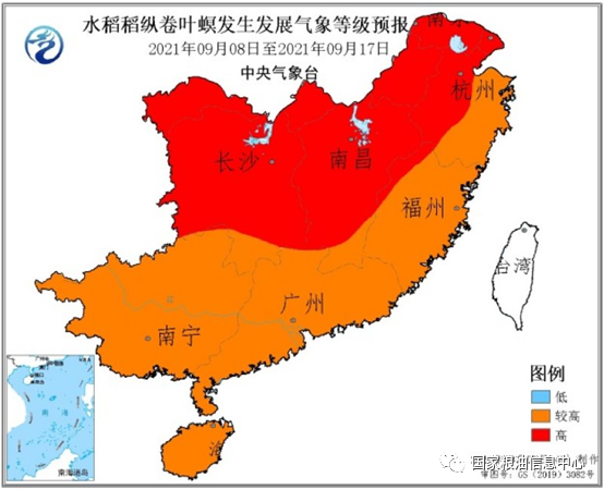 江南中北部稻区稻纵卷叶螟迁入和发生发展气象等级较高需加强防控 新浪财经 新浪网