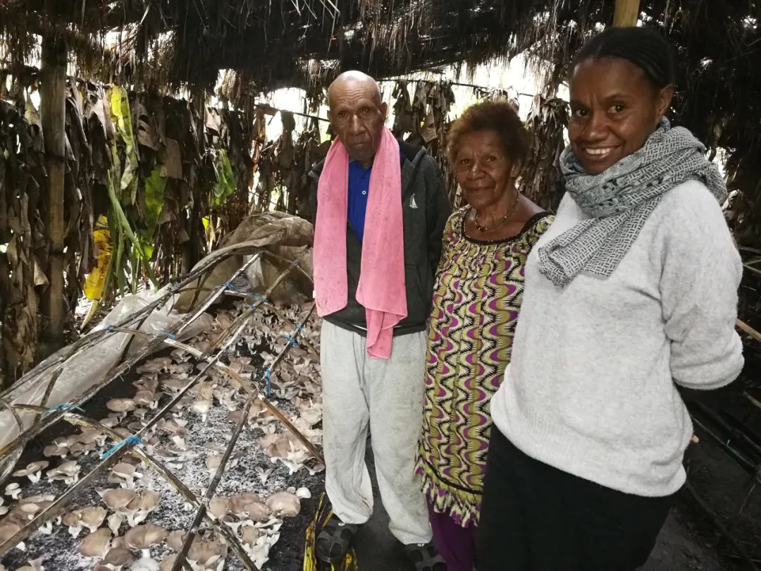 2019年9月9日，在巴布亚新几内亚东高地省鲁法地区，科皮·马诺韦（左1）和女儿普里西利娅（右1）在家中的菌草菇棚里合影。