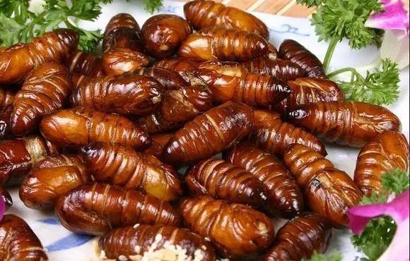 例如龙虱,蚕蛹,蝉,蝗虫,蜂蛹等可以被人类直接食用;虫草,蝉蜕,斑蟊