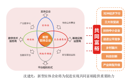 沈建光：新型实体企业将为促进实现共同富裕提供重要助力