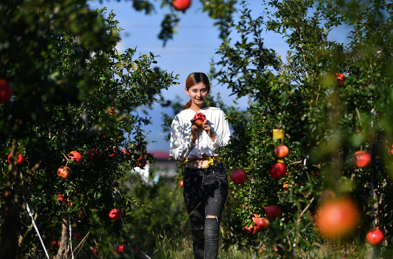 2020年何爽的公司全年销售220万单,销售额5100万元,何爽也成为会理