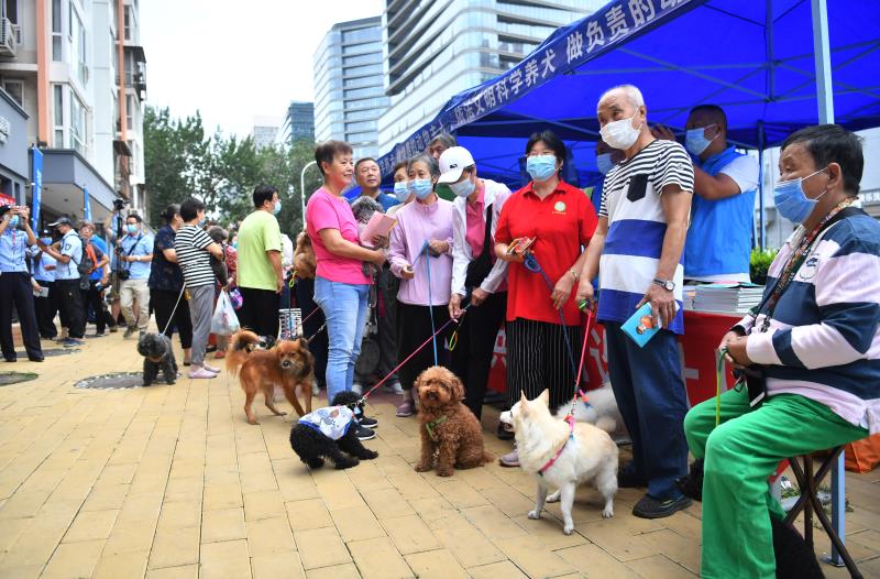 新京报讯(记者张静姝)9月15日,北京市养犬管理工作联席会议办公室与