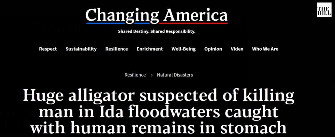 美国七旬男子在“艾达”洪水中遭鳄鱼袭击后失踪，鳄鱼胃里发现疑似人体遗骸