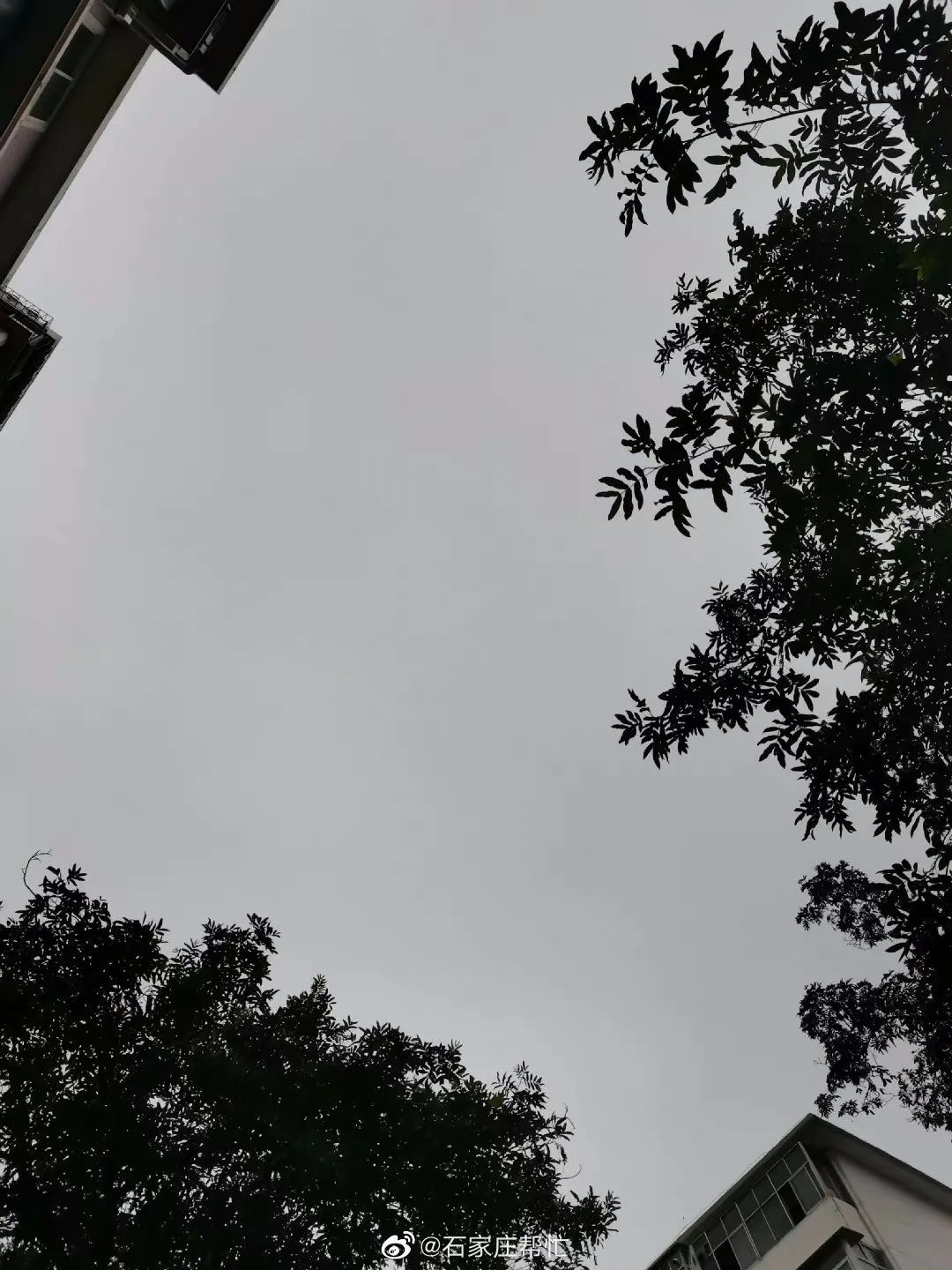 河北气温骤降,最低10