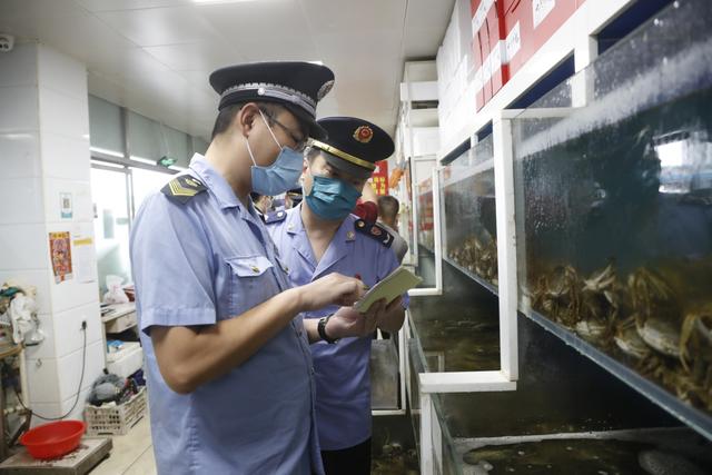 执法人员在京深海鲜批发市场进行现场检查。丰台区市场监管局供图