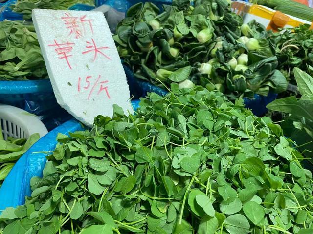 草头新鲜上市,价格贵过猪肉|上海市_新浪财经_新浪网