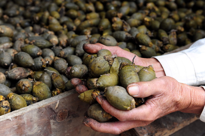广电总局停止利用电视和网络节目推销槟榔及其制品