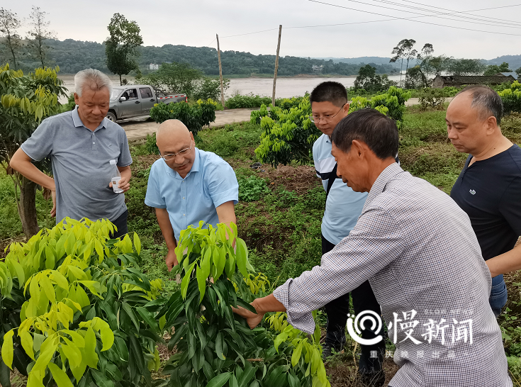 ▲专家团在各个领域进行把脉问诊