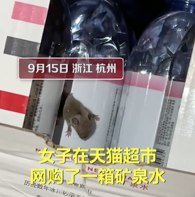 图片来源：北晚新视觉