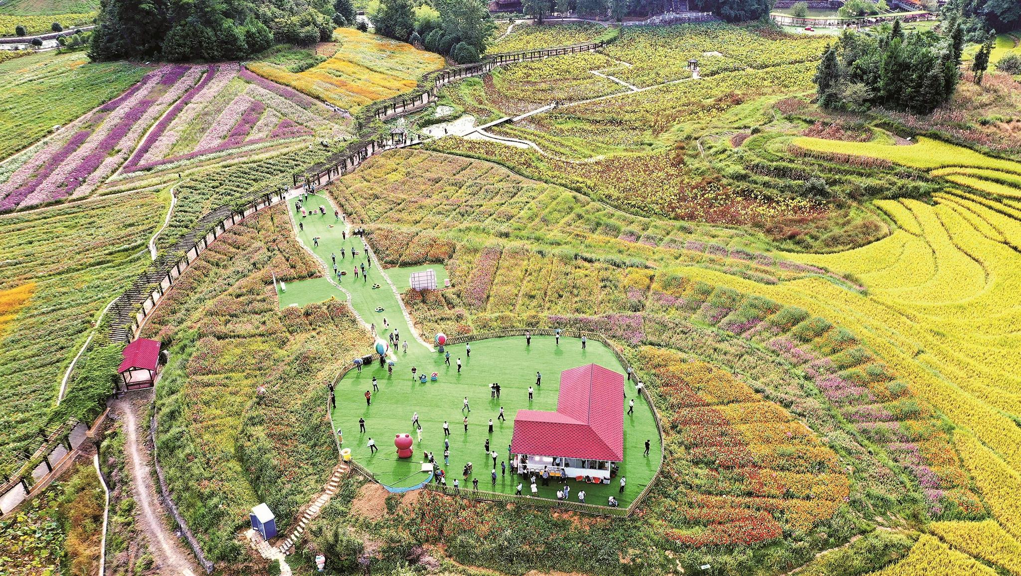 田园综合体 增收聚宝盆|花海_新浪财经_新浪网