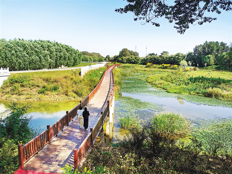 近日，游客在戴河下游生态湿地公园游览观光。北戴河区始终把生态环境作为城市的金字招牌，坚持生态先行、绿色发展，打造美丽中国北戴河样板区。 河北日报记者 师 源摄