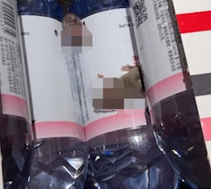 图片来源：北晚新视觉