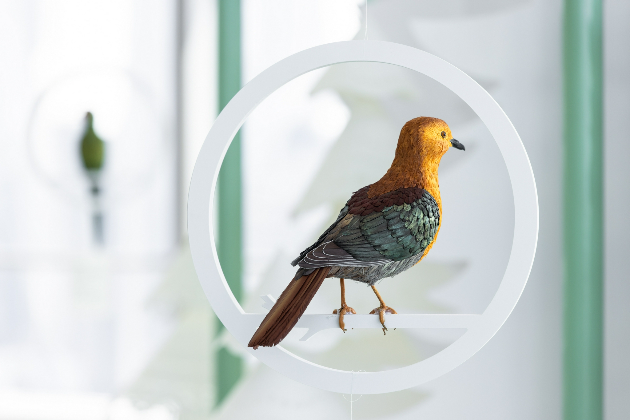 濒危鸟类艺术展登陆上海白玉兰广场