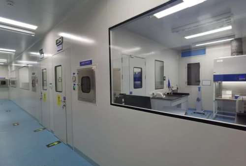 (上为实验室内部,图源"厦门广电"公众号)
