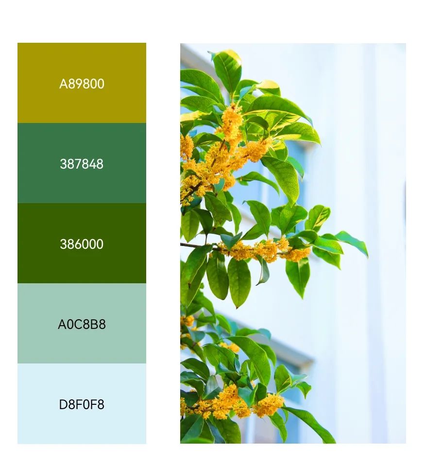 秋日色卡解锁yzuers的专属记忆