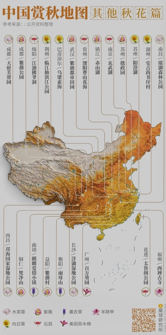 中国赏秋地图|其他秋花篇，制图@郑艺&郑伯容