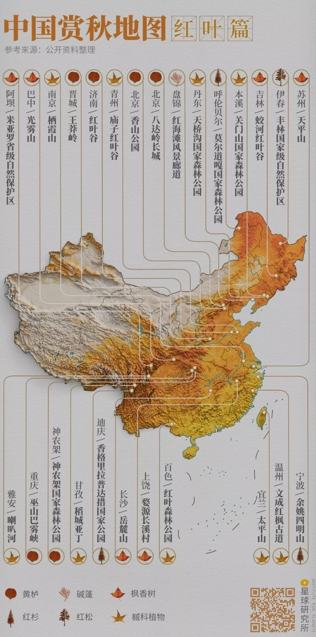 中国赏秋地图|红叶篇，制图@郑艺&郑伯容