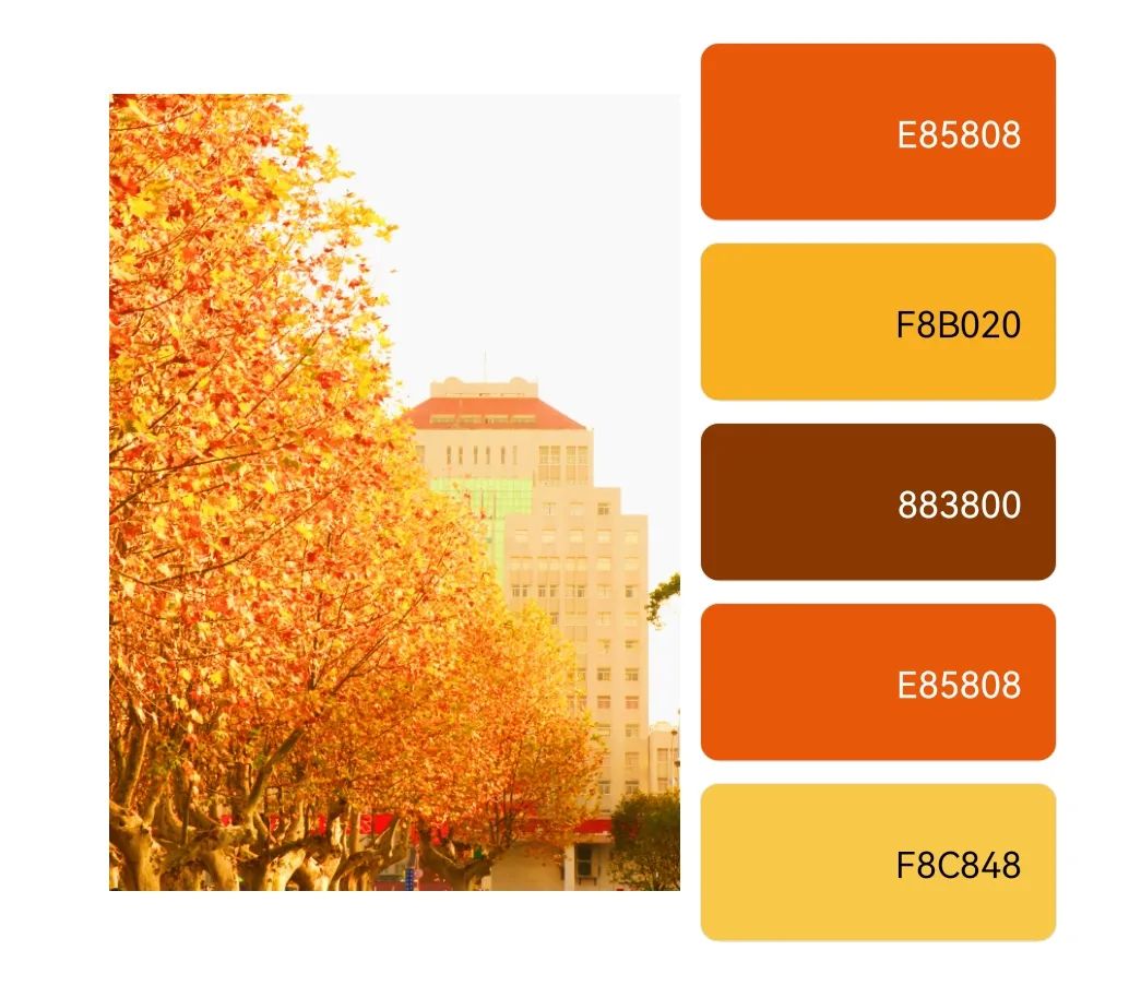 秋日色卡解锁yzuers的专属记忆