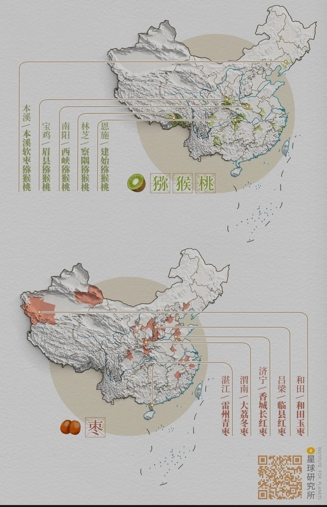 中国赏秋地图|鲜果篇，制图@郑艺&郑伯容