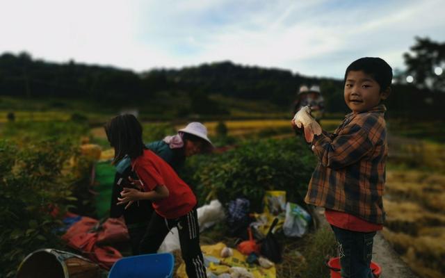 小朋友捧起稻花鱼。新京报记者 周怀宗 摄