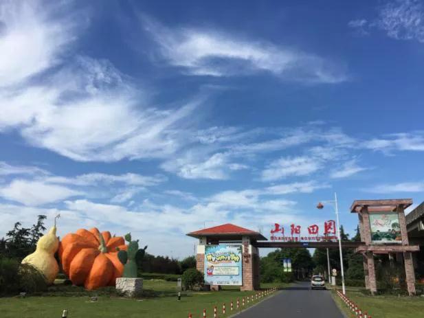 地址:上海市金山区山阳镇田园路183号抢购方式