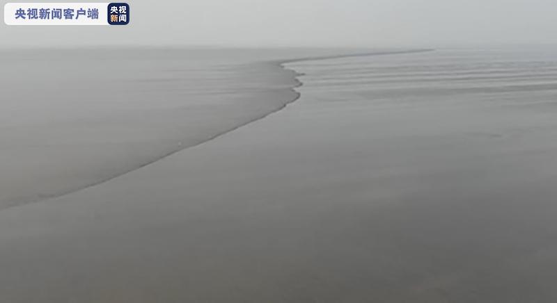 △北岸黄沙坞排涝闸上游，江中地形高低不平，潮形呈现S型（右侧上游）