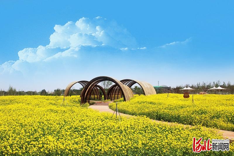 探营保定卓正神农现代农业示范园 都市型现代农业改变都市人生活 花海 新浪财经 新浪网