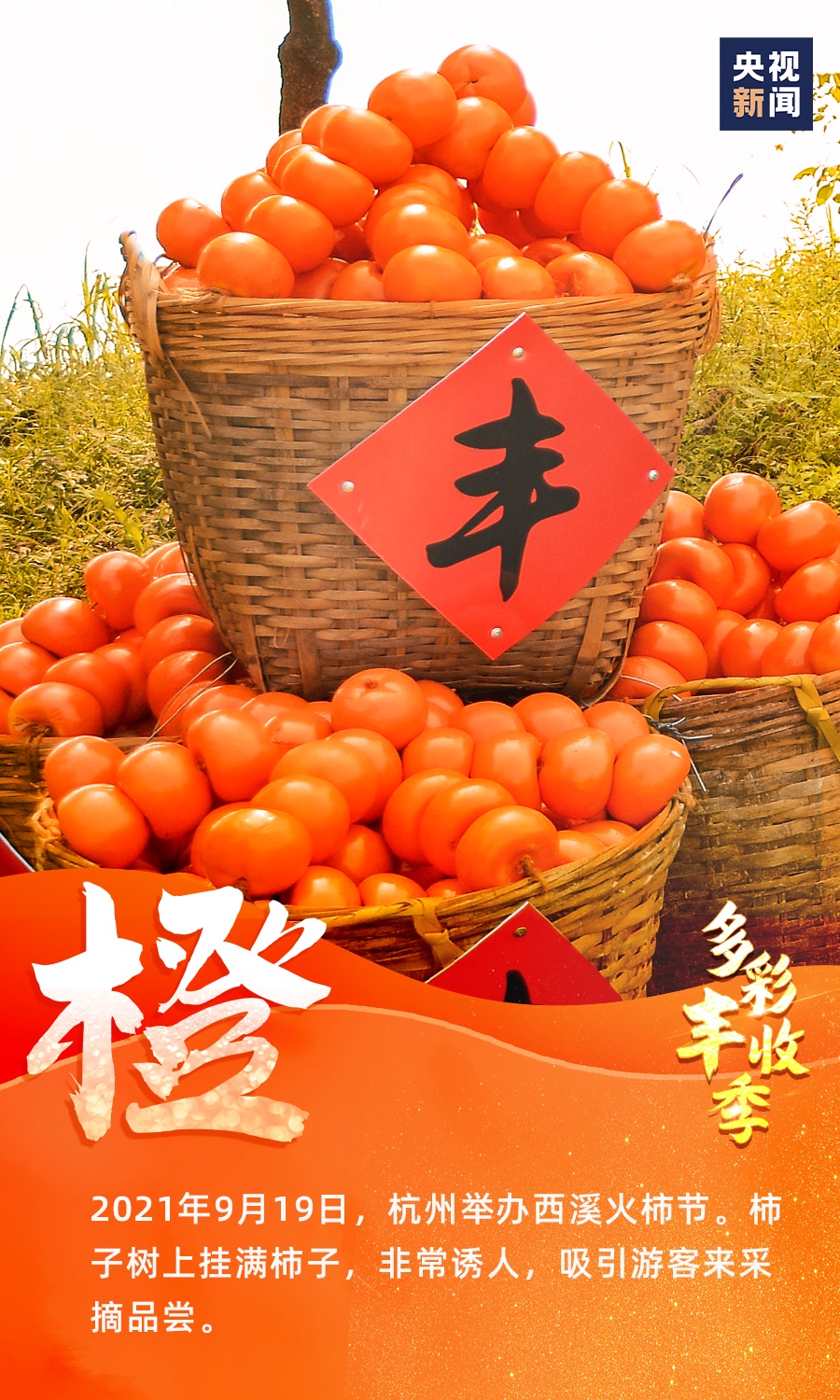 9图看中国多彩丰收季