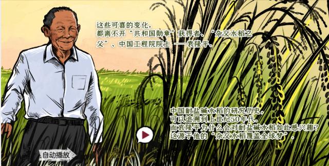 h5动态纪实长卷:稻子熟了|袁隆平_新浪财经_新浪网