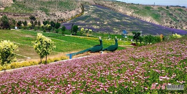 赏田园风光寻记忆乡愁相约榆中县李家庄