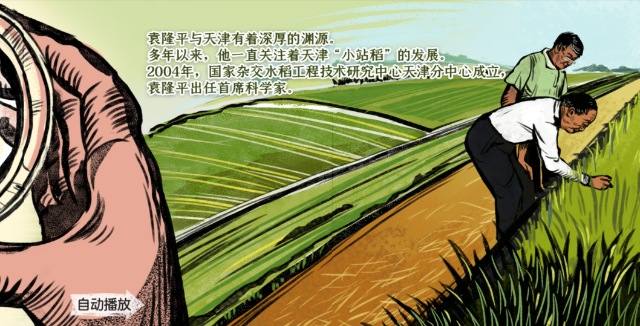 h5动态纪实长卷:稻子熟了|袁隆平_新浪财经_新浪网