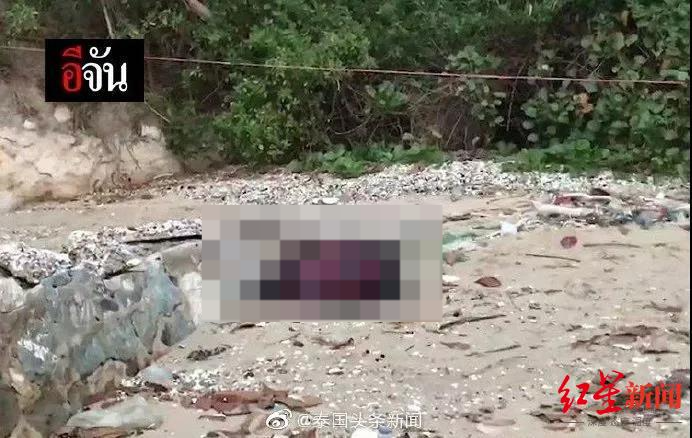 泰国杀妻抛尸案第三次庭审6名证人线上作证讲述被诈骗经历