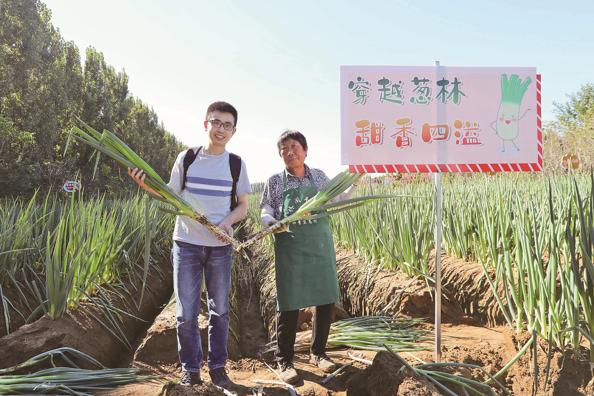 在北京平谷区举办的2021年农民丰收节暨赵家务“甜葱尝鲜季”乡村旅游系列活动中，游客体验拔葱项目。 本报记者 陈晨 摄