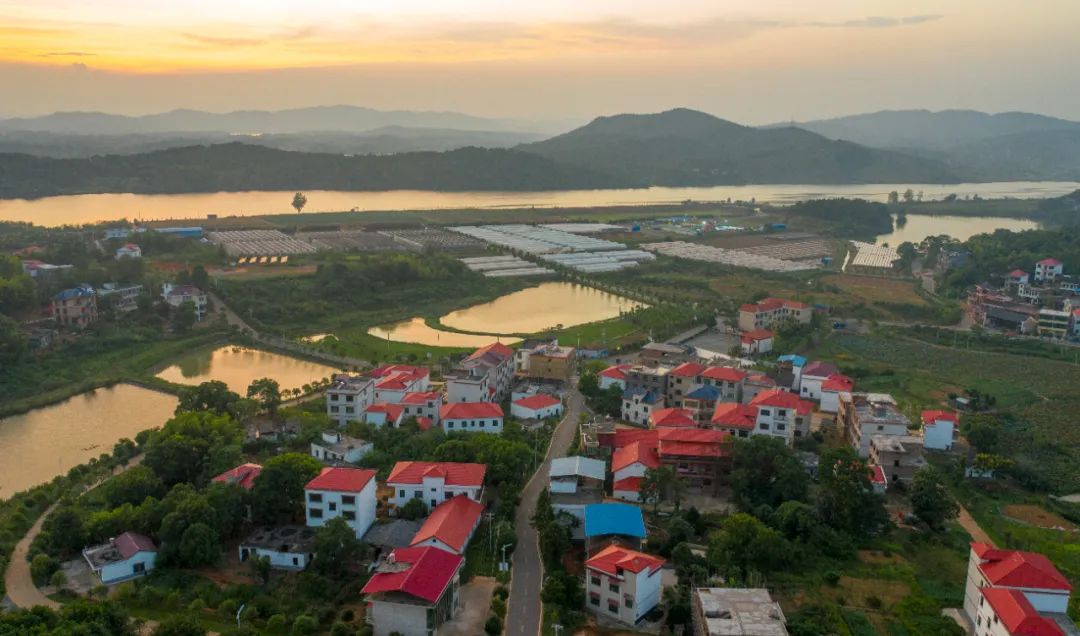 祁阳县茅竹镇三家村,夕阳下村民的新房,水塘,蔬菜大棚和远处的湘江