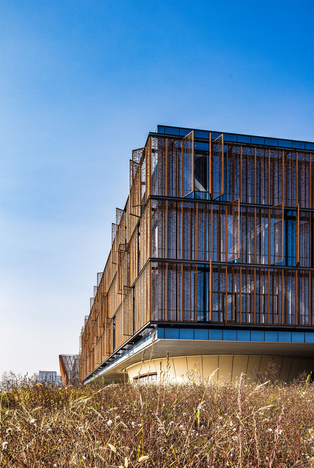 由置于水面之上的图书馆,活动中心和礼堂