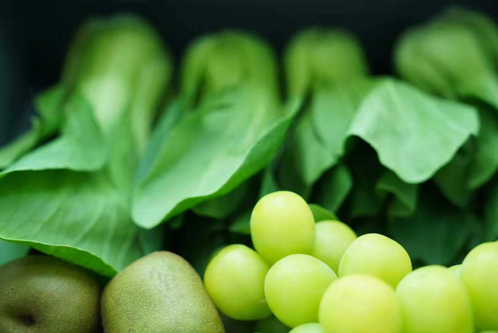 冰箱内部绿色果蔬长期冷藏后仍新鲜如初、本色不改