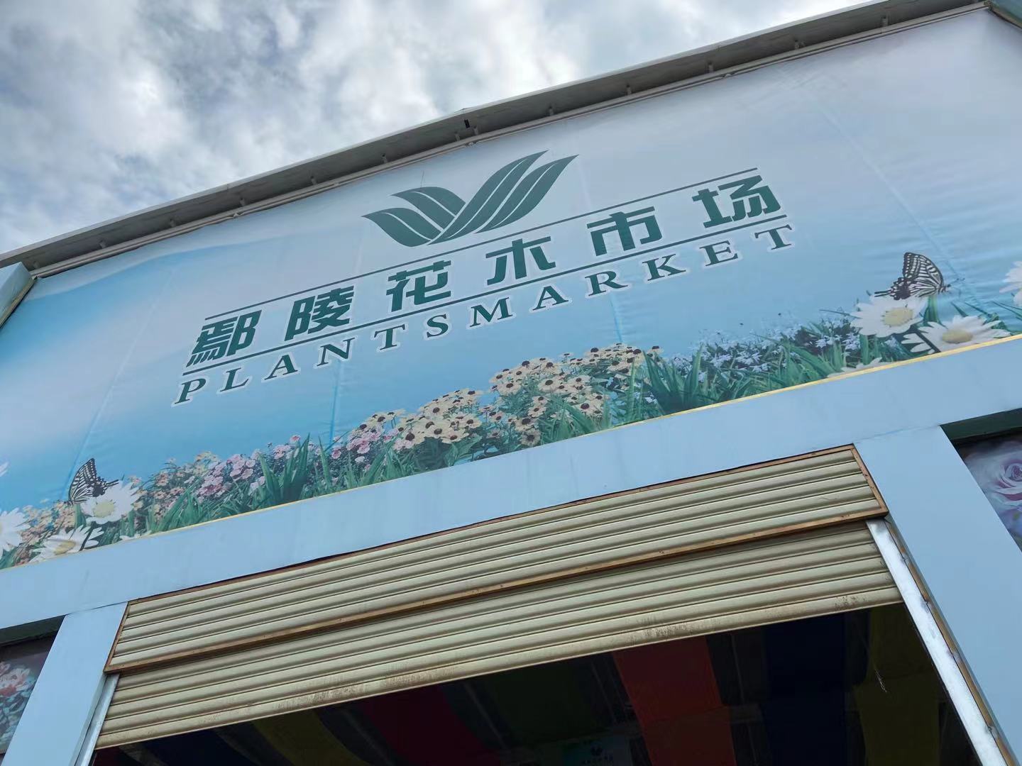 百年圆梦豫来豫好鄢陵花木市场助力乡村振兴朝阳产业给百姓带来致富路