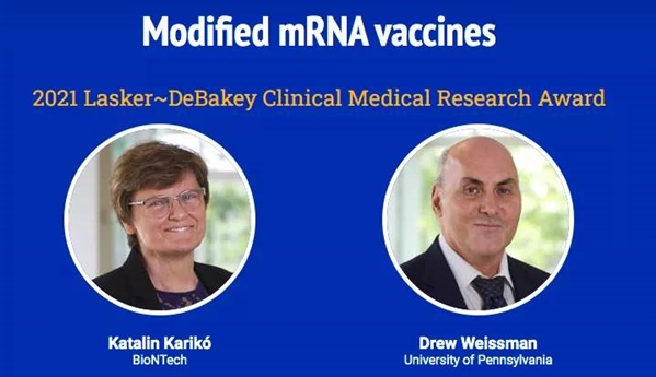 卡里科和魏斯曼因在mRNA技术上的贡献，获得很多殊荣
