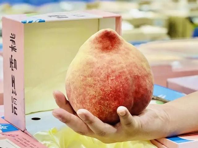 被称为"国宴桃"的丽江雪桃