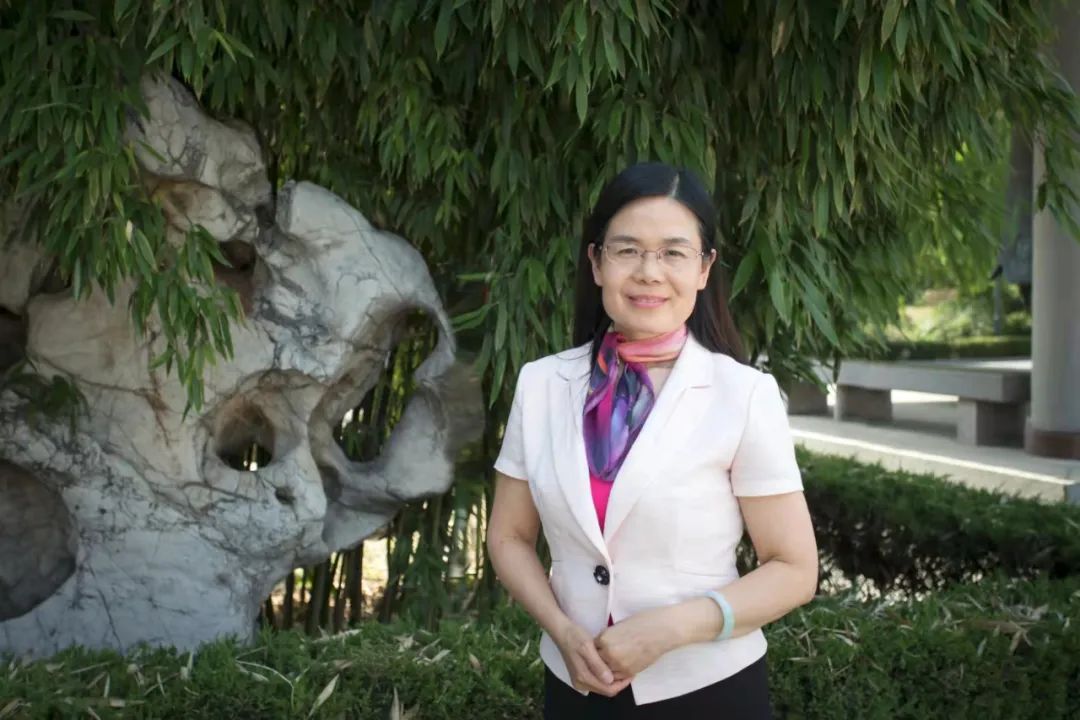 东西问陈晓霞孔庙与儒学影响东西文明几何