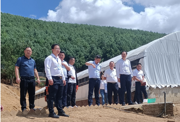 美姑县委书记陈翔同志带队调研指导凉山农投定点帮扶村沙马马拖村乡村