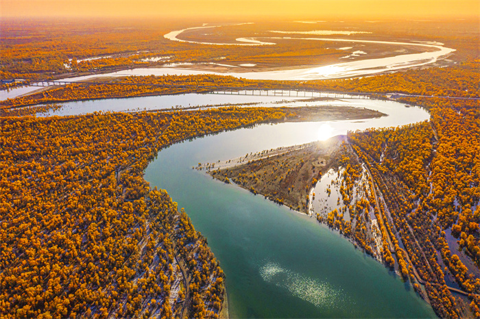 沙雅县有着"胡杨之乡"的美誉,这是因为沙雅县拥有目前世界上"面积最大