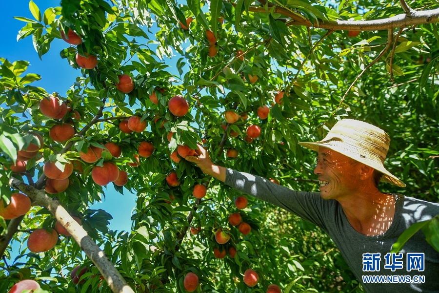 朱联产和老伴"满载而归".新华网 潘彬彬 摄